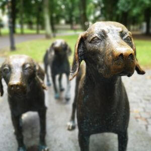 Ekskursija vaikams apie Vilniaus gyvūnų skulptūras Ekskursija vaikams apie Vilniaus gyvūnus. Skulptūra „Lietuvių skalikas“.